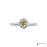 Kalmia - 14KT White Gold Round Yellow Diamond Stackable Oval Halo Ring