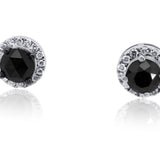 Black Diamond Stud Earrings in 14K White Gold with Diamond Halo