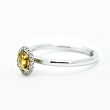 Kalmia - 14KT White Gold Round Yellow Diamond Stackable Oval Halo Ring