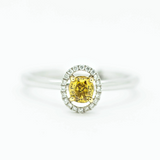 Kalmia - 14KT White Gold Round Yellow Diamond Stackable Oval Halo Ring