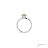 Bearberry - 14KT White Gold Stackable Brown Diamond Halo Ring