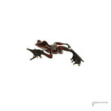 Tim Cotterill Frogman Dart BF60S Rare Bronze Sculpture | Edition #661 of 750