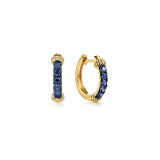 14K Yellow Gold Bujukan and Blue Sapphire Huggie Earrings