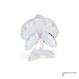 Swarovski Orchid Figurine