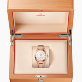 Omega SEAMASTER AQUA TERRA 150M Pre-Loved