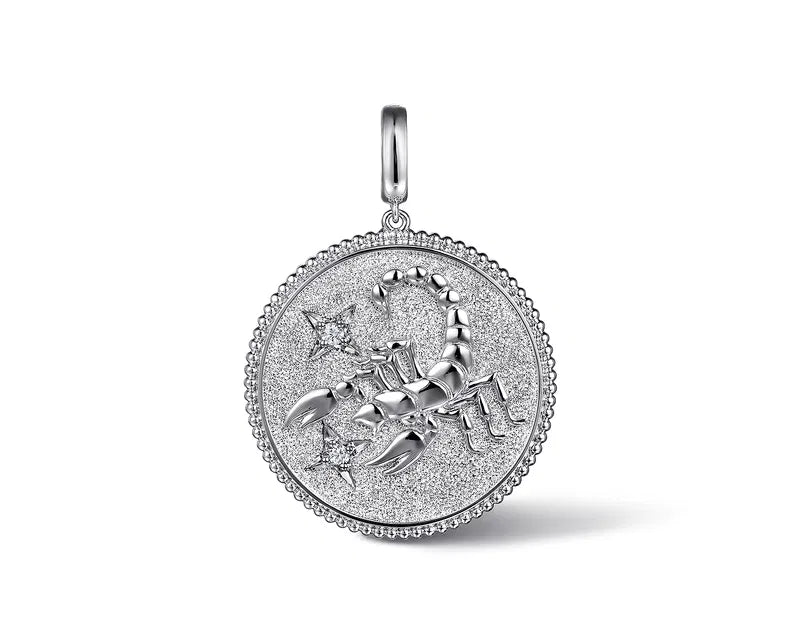 Silver pendant with zodiac design on a white background