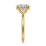 A yellow gold ring featuring a large round brilliant-cut center stone and a halo of small round stones along the band, shown against a plain white background.